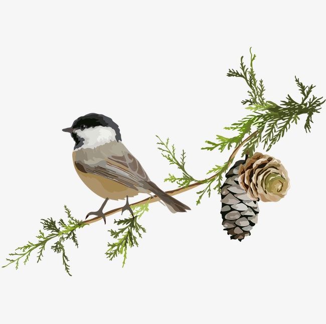 Bird Branch PNG, Clipart, Animal, Bird Clipart, Bird Clipart, Branch Clipart, Branch Clipart Free PNG Download