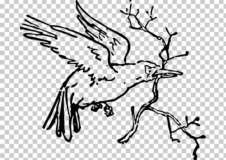 White Branch Galliformes PNG, Clipart, Artwork, Beak, Bird, Black And White, Branch Free PNG Download