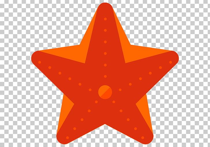 Computer Icons Starfish PNG, Clipart, Angle, Animals, Aquatic Animal, Computer Icons, Echinoderm Free PNG Download