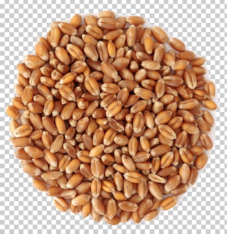 Wheat Middlings Grain Cereal PNG, Clipart, Bar, Cereal Germ, Commodity, Common Wheat, Dinkel Wheat Free PNG Download