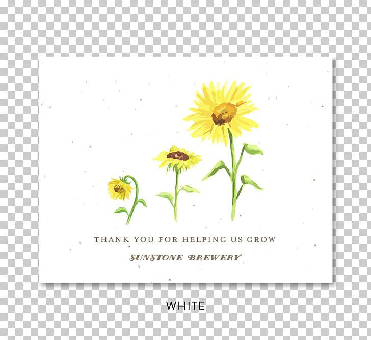 Common Sunflower Seed Paper Wedding Invitation PNG, Clipart, Business, Common Sunflower, Daisy Family, Flora, Floral Design Free PNG Download