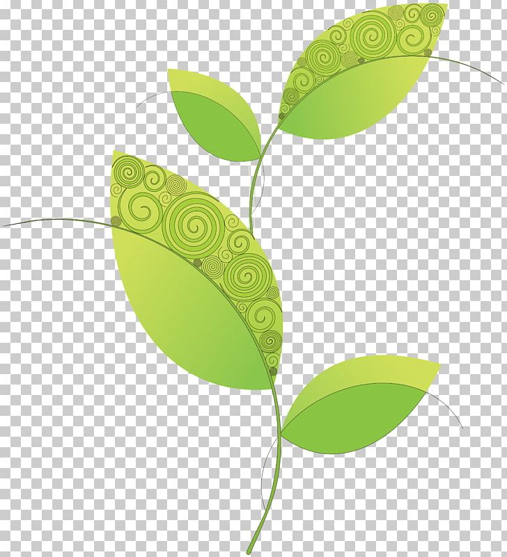 Computer Icons Leaf PNG, Clipart, Branch, Computer Icons, Download, Green, Leaf Free PNG Download