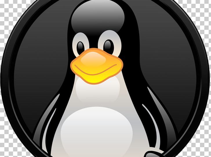 Linux Installation Web Hosting Service Computer Software Computer Servers PNG, Clipart, Beak, Bird, Computer Servers, Computer Software, Debianinstaller Free PNG Download