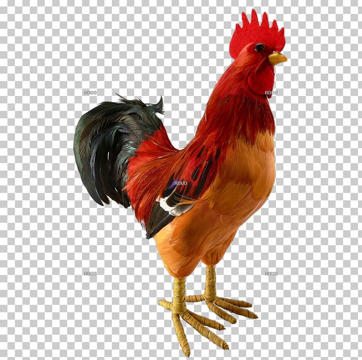 Rooster Chicken Feather Hönsgård Farm PNG, Clipart, Animal, Animals, Autumn, Beak, Bird Free PNG Download