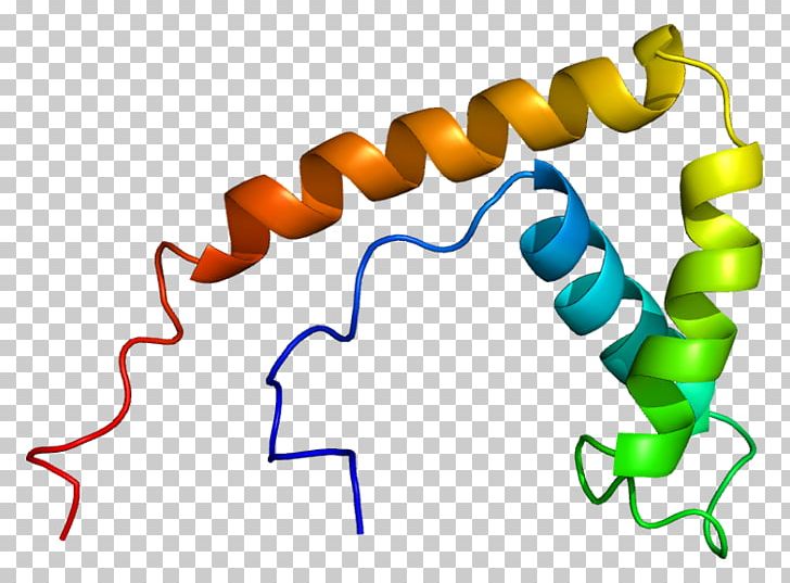 HMGB1 High-mobility Group Protein Chromatin Cell PNG, Clipart, Area, Artwork, Cell, Chromatin, Disease Free PNG Download