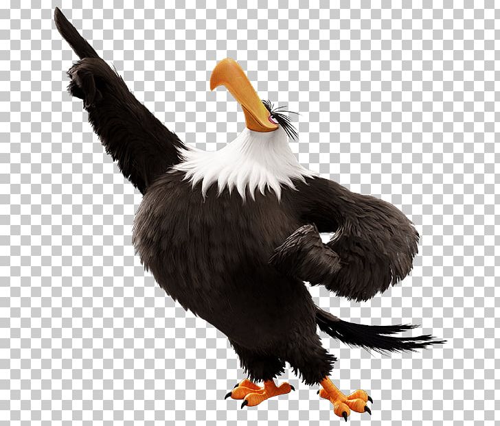 The Mighty Eagle Song Bird The Mighty Red Song PNG, Clipart, Accipitriformes, Angry Birds Movie, Angry Birds Toons, Animals, Bald Eagle Free PNG Download