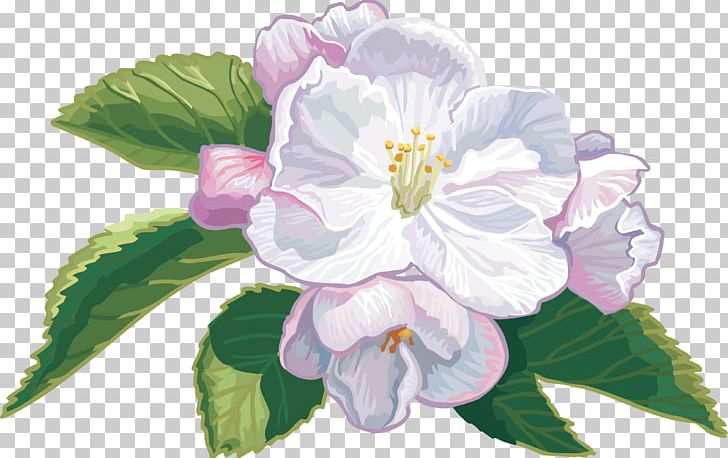 Cut Flowers Apples Cape Jasmine PNG, Clipart, Apples, Artificial Flower, Blossom, Branch, Cape Free PNG Download