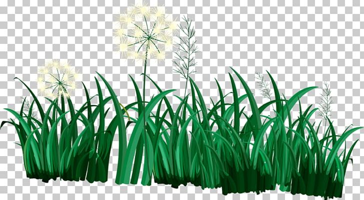 Duck PNG, Clipart, Artificial Grass, Commodity, Creative Grass, Dandelions, Dandelion Vector Free PNG Download