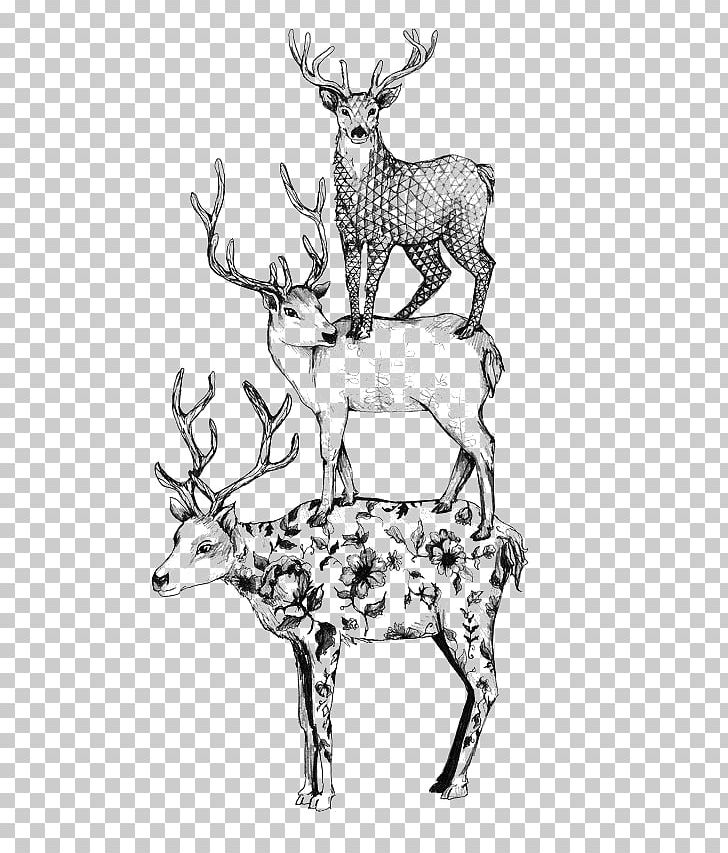 Formosan Sika Deer Black And White PNG, Clipart, Animal, Animals, Antler, Art, Background Black Free PNG Download