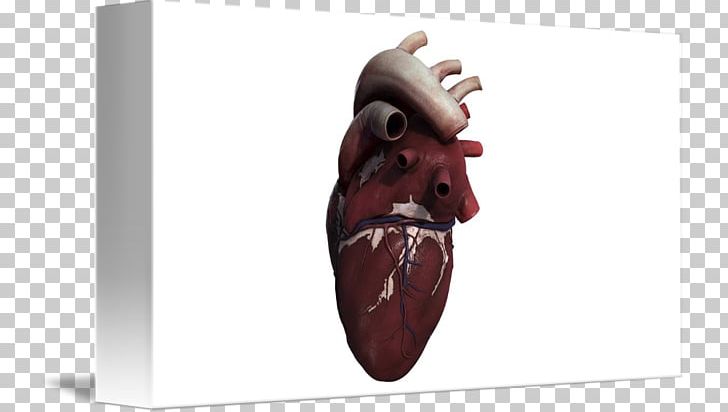 Heart Three-dimensional Space PNG, Clipart, Dimension, Heart, Joint, Organ, Poster Free PNG Download