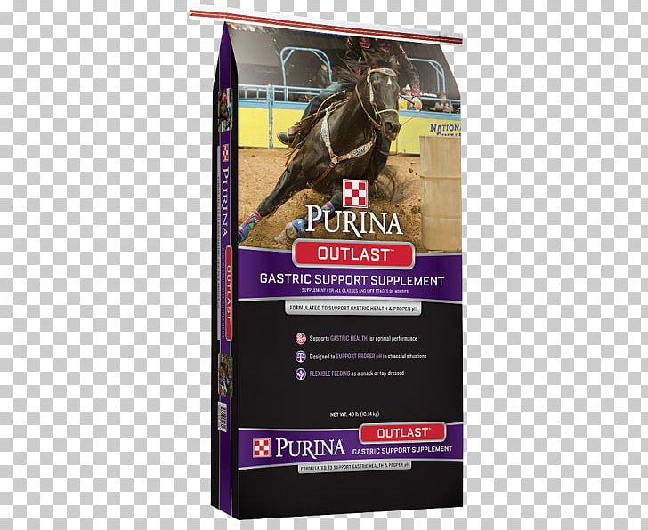 Horse Outlast Nestlé Purina PetCare Company Purina Mills Equine Nutrition PNG, Clipart, Advertising, Animal Feed, Animals, Brand, Dietary Supplement Free PNG Download
