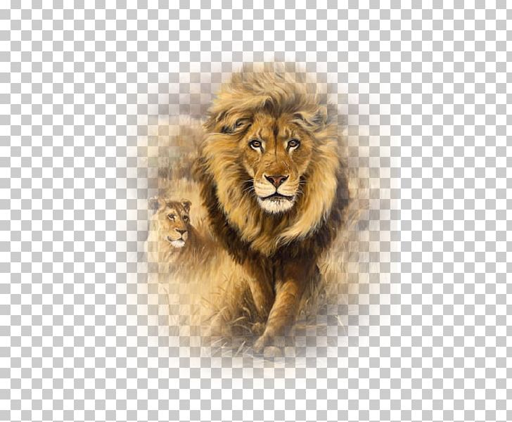 Lion Art Embroidery Painting Drawing PNG, Clipart, Animals, Art, Aslan, Aslan Resimleri, Big Cats Free PNG Download