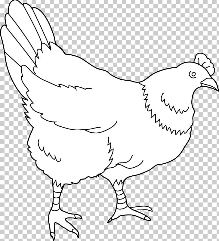 Chicken Drawing Black And White PNG, Clipart, Angle, Animals, Area, Artwork, Beak Free PNG Download