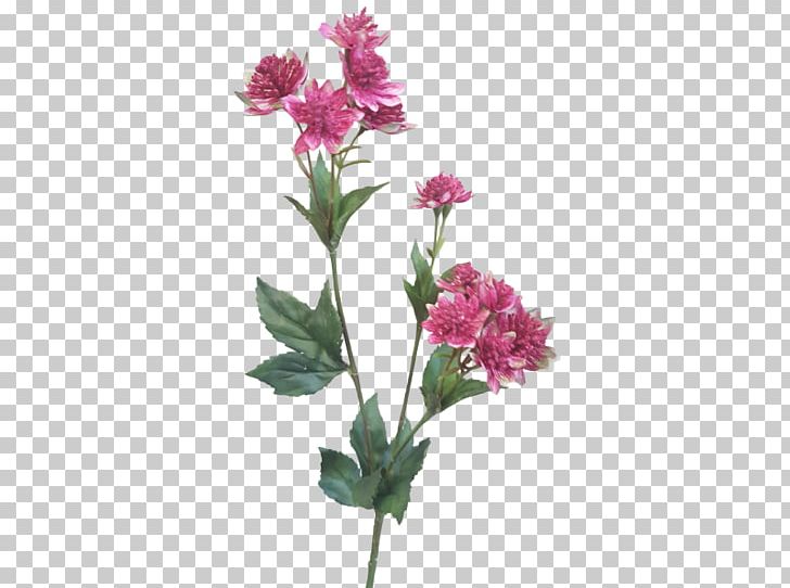 Cut Flowers Floral Design Plant Stem PNG, Clipart, Alstroemeriaceae, Annual Plant, Burgundy, Cut Flowers, Floral Design Free PNG Download