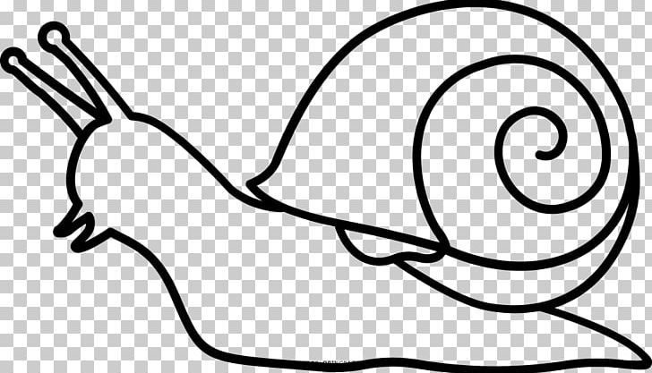Snail Drawing Coloring Book Painting PNG, Clipart, Animals, Area, Arm, Art, Artwork Free PNG Download