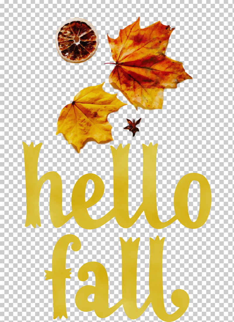 Leaf Yellow Font Meter Fruit PNG, Clipart, Autumn, Biology, Fall, Fruit, Hello Fall Free PNG Download