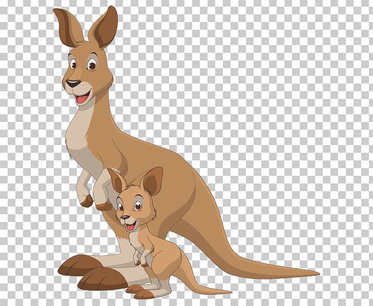 Baby Kangaroo Graphics Illustration PNG, Clipart, Animal, Animal Figure, Animals, Baby Kangaroo, Carnivoran Free PNG Download