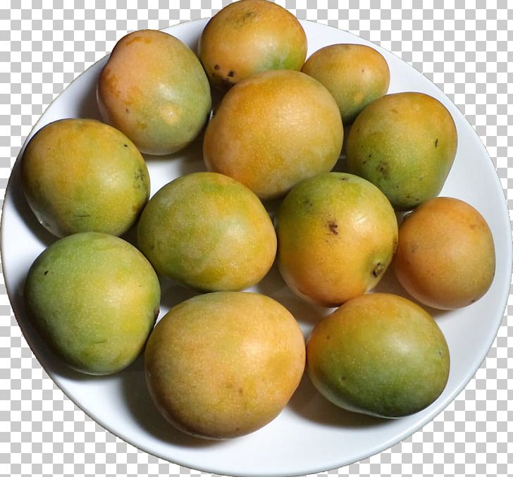 Mango Indian Cuisine Food Mangifera Indica Fruit PNG, Clipart, Banana, Citrus, Food, Food Drying, Fruit Free PNG Download