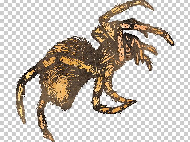 Spider Velociraptor Insect Tarantula PNG, Clipart, Carnivoran, Cartoon Spider Web, Claw, Fauna, Fictional Character Free PNG Download