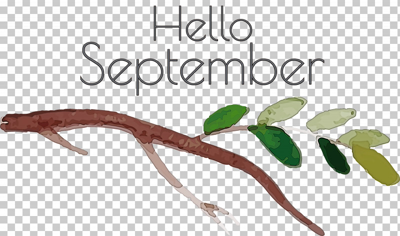 Hello September September PNG, Clipart, Biology, Hello September, Meter, Plant, Plant Stem Free PNG Download
