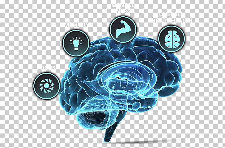 Brain Tumor Human Brain Neuroscience Forebrain PNG, Clipart, Awareness, Brain, Brainstem, Brain Tumor, Breathing Free PNG Download