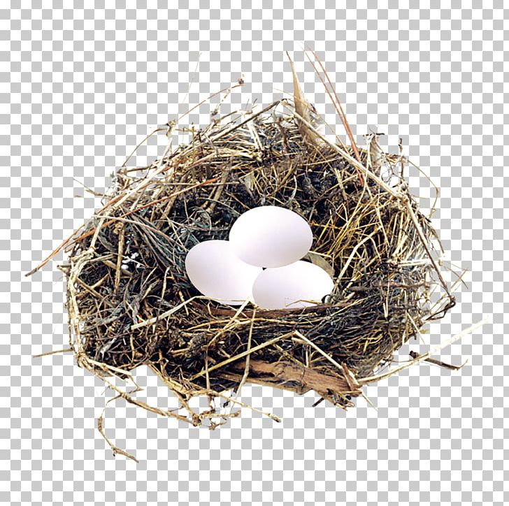 Chicken Egg Chicken Egg PNG, Clipart, Chicken, Clutch, Download, Easter Egg, Easter Eggs Free PNG Download