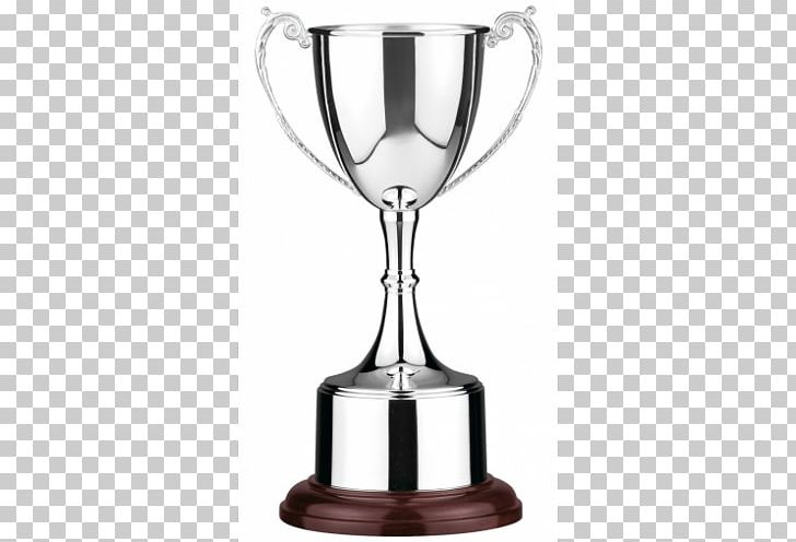 Cricket World Cup Trophy Award PNG, Clipart, Award, Batting, Commemorative Plaque, Competition, Cricket Free PNG Download