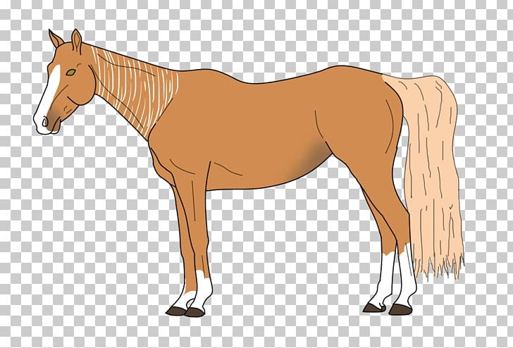 Mule Foal Stallion Mare Colt PNG, Clipart, Bridle, Canter And Gallop, Colt, Foal, Halter Free PNG Download