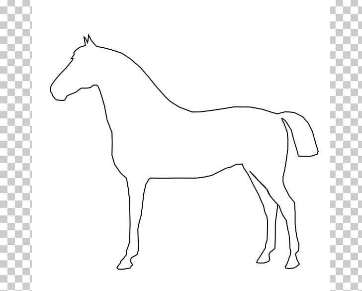 Tennessee Walking Horse Conformation Of The Horse Drawing PNG, Clipart, Angle, Animal Figure, Arm, Artwork, Colt Free PNG Download