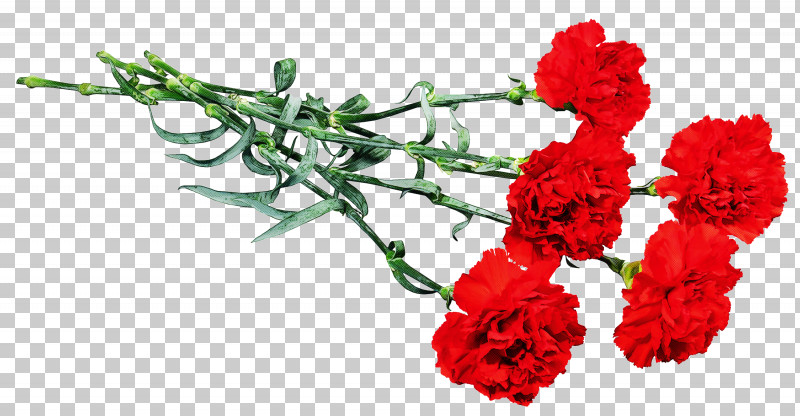 Floral Design PNG, Clipart, Birth Flower, Carnation, Chrysanthemum, Cut Flowers, Floral Design Free PNG Download