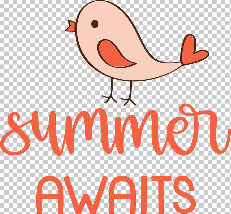 Summer Awaits Summer Summer Vacation PNG, Clipart, Beak, Birds, Cartoon, Happiness, Line Free PNG Download