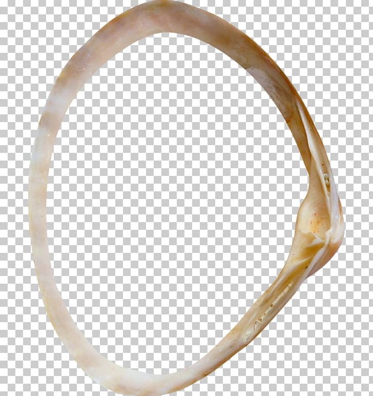 Bangle Material Wedding Ring Body Jewellery PNG, Clipart, Bangle, Body Jewellery, Body Jewelry, Circle, Fashion Accessory Free PNG Download