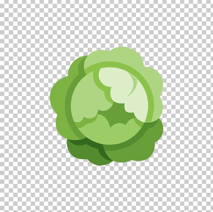 Computer Icons Food Vegetarian Cuisine Vegetable PNG, Clipart, Broccoli, Cabbage, Carrot, Computer Icons, Computer Wallpaper Free PNG Download