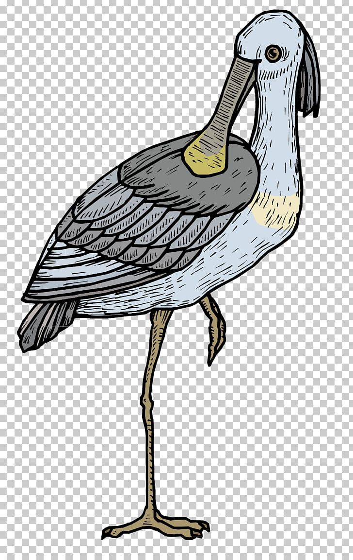Duck Cartoon Rhinoceros Illustration PNG, Clipart, Animal, Animals, Bird, Cartoon, Charadriiformes Free PNG Download