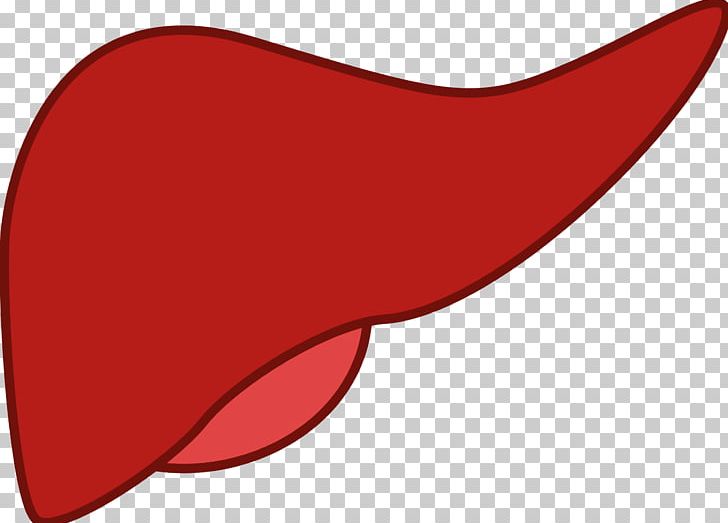 Non-alcoholic Fatty Liver Disease PNG, Clipart, Bile, Bile Duct, Gallbladder, Kidney, Liver Free PNG Download