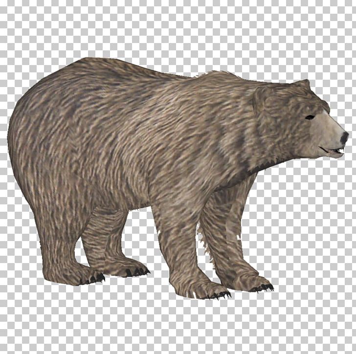 Zoo Tycoon 2 Brown Bear Polar Bear American Black Bear Grizzly Bear PNG, Clipart, American Black Bear, Animal, Animals, Bear, Bears Free PNG Download