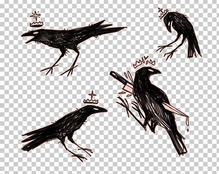 American Crow In The Company Of Crows And Ravens Drawing The Raven PNG, Clipart, American Crow, Animals, Art, Beak, Bird Free PNG Download
