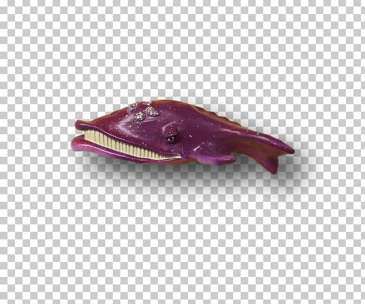 Fish PNG, Clipart, Animals, Fish, Magenta, Purple Free PNG Download
