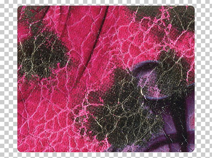 Petal Pink M Leaf RTV Pink Pattern PNG, Clipart, Flower, Leaf, Magenta, Organism, Petal Free PNG Download