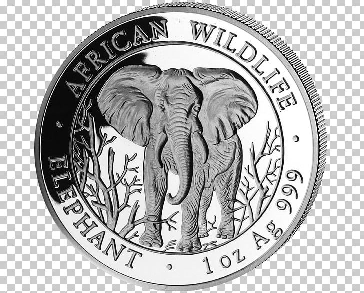 Silver Toboso National High School Coin Somalia Bullion PNG, Clipart, African Elephant, Black And White, Bullion, Circle, Coin Free PNG Download