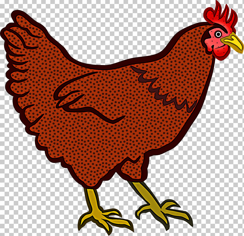 Bird Chicken Rooster Beak Fowl PNG, Clipart, Beak, Bird, Chicken, Comb, Fowl Free PNG Download
