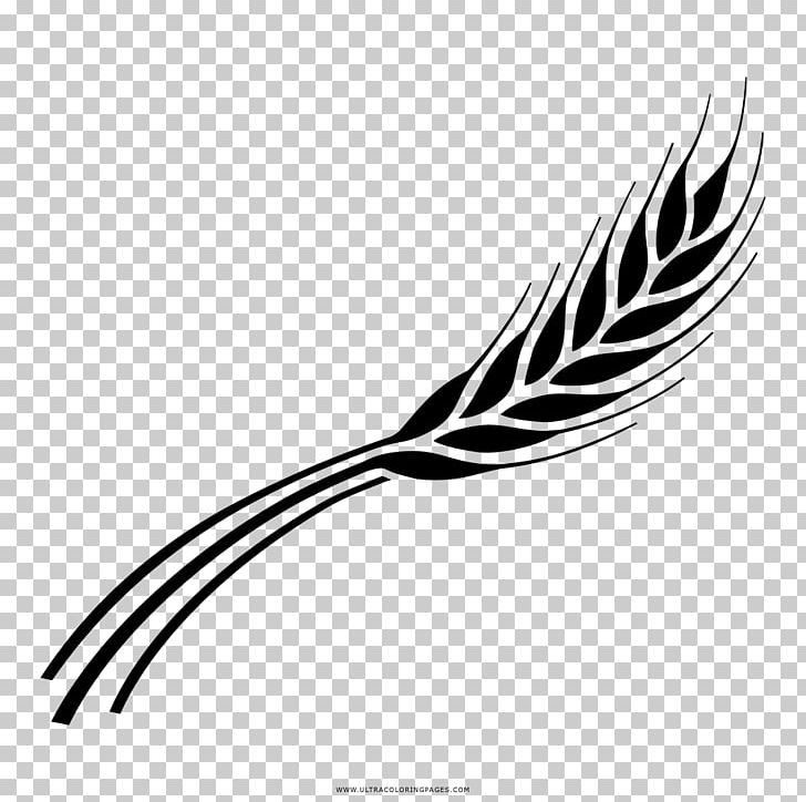 Barley Drawing Line Art Black And White Coloring Book PNG, Clipart, Ausmalbild, Barley, Beak, Bird, Black And White Free PNG Download