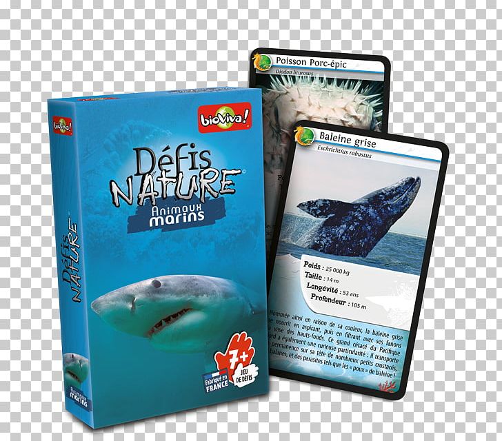 Bioviva Défis Nature Le Grand Jeu Game Marine Mammal Sea PNG, Clipart, Animal, Bioviva, Brand, Card Game, Dolphin Free PNG Download