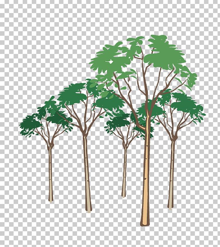 Branch Others Plant Stem PNG, Clipart, Blog, Branch, Can Stock Photo, Desktop Wallpaper, Download Free PNG Download