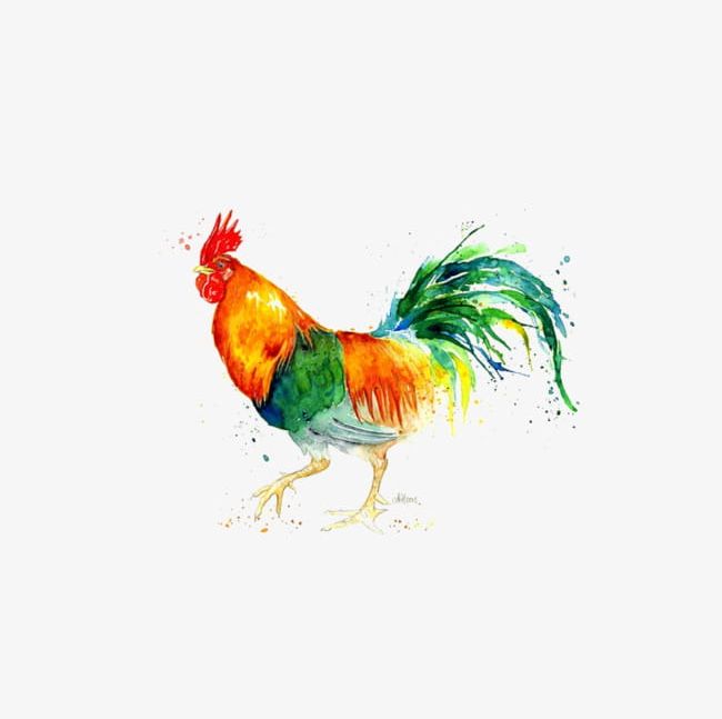 Watercolor Animals Chicken PNG, Clipart, Animal, Animals Clipart, Animals Clipart, Chicken, Chicken Clipart Free PNG Download