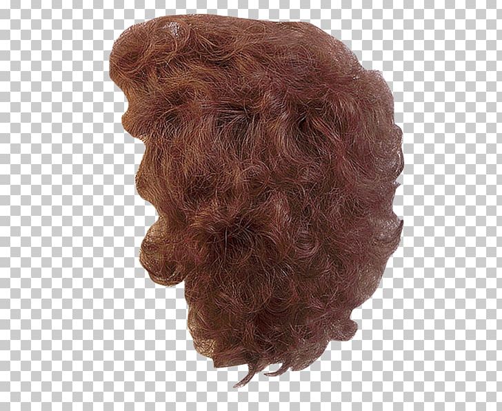 Wig PNG, Clipart, Hair Coloring, Tennessee, Wig Free PNG Download