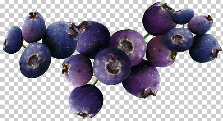 Blueberry Fruit PNG, Clipart, Apple Fruit, Bead, Berry, Bilberry, Blueberry Free PNG Download