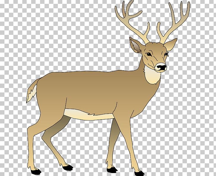 White-tailed Deer Elk Reindeer PNG, Clipart, Animal Figure, Antler, Blog, Cartoon, Clip Art Free PNG Download