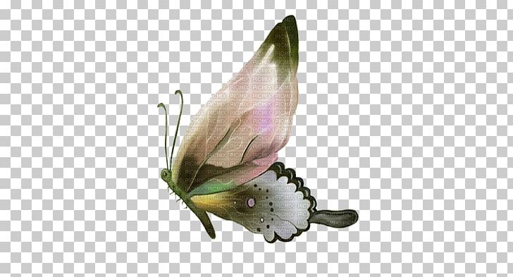 Butterfly Painting PNG, Clipart, Arthropod, Brush Footed Butterfly, Butterflies And Moths, Butterfly, Deco Free PNG Download