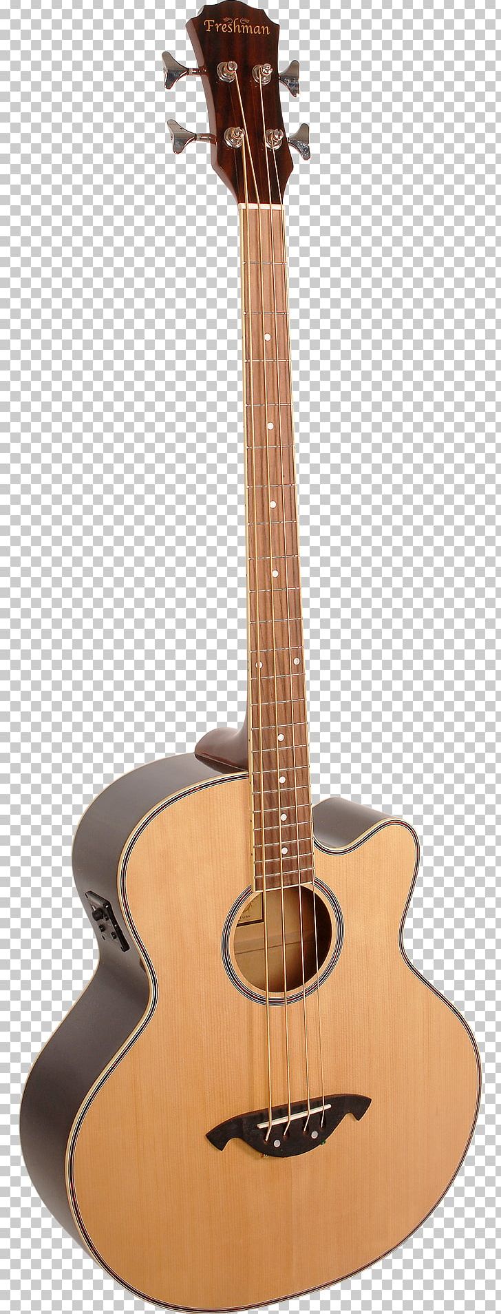 Epiphone Rivoli Acoustic Bass Guitar Acoustic Guitar PNG, Clipart, Cuatro, Cutaway, Double Bass, Guitar Accessory, Musical Instrument Free PNG Download